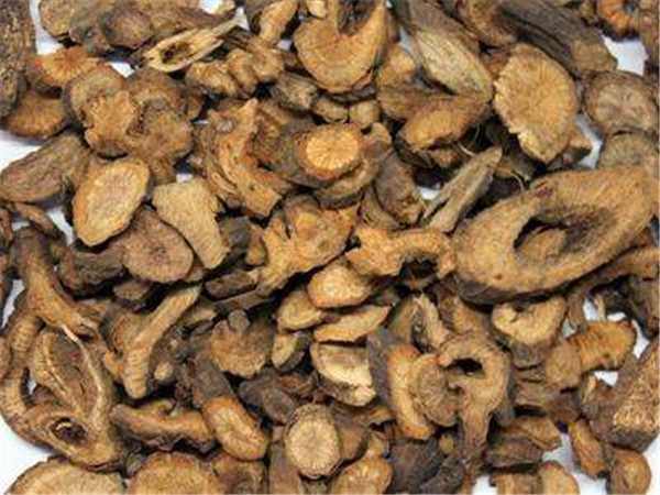 可以活血化瘀的九大中药(图3)