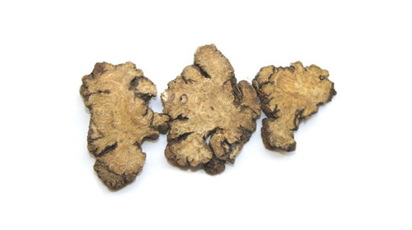 可以活血化瘀的九大中药(图7)