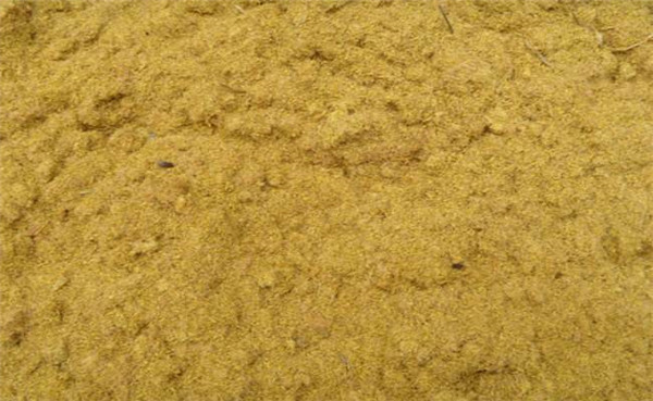 可以活血化瘀的九大中药(图9)